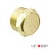 Muffler Brass Flat 1/2' Male